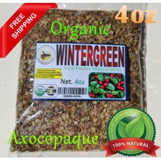 Axocopaque  : Gaultheria procumbens, Wintergreen herbs